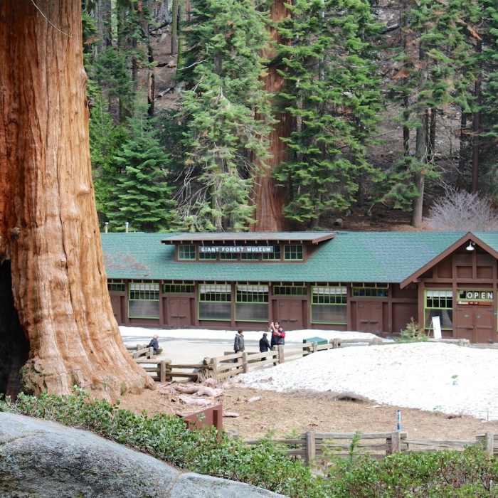 Near Moro Rock Trail