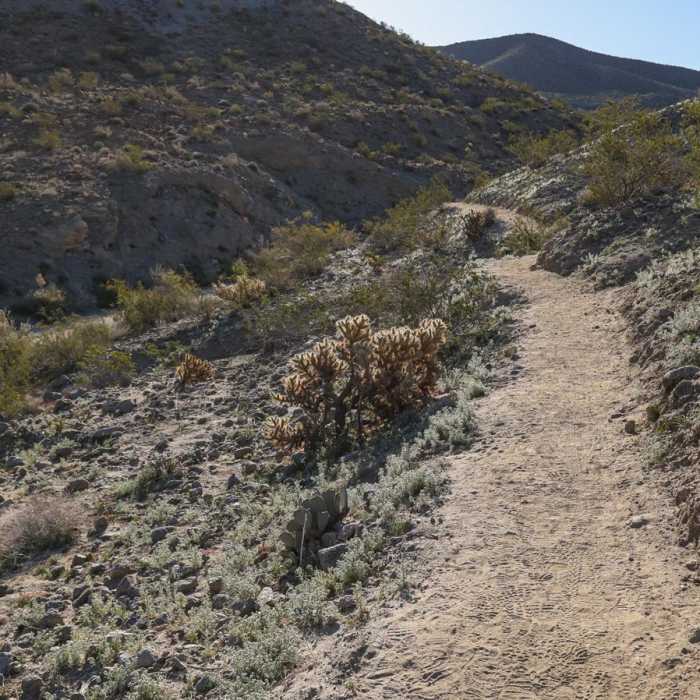 Near Randall Henderson Loop