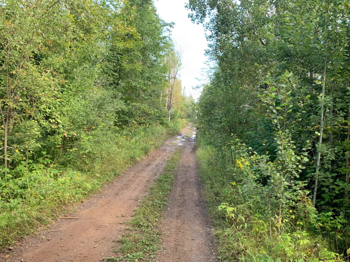 Arrowhead Road photo 4