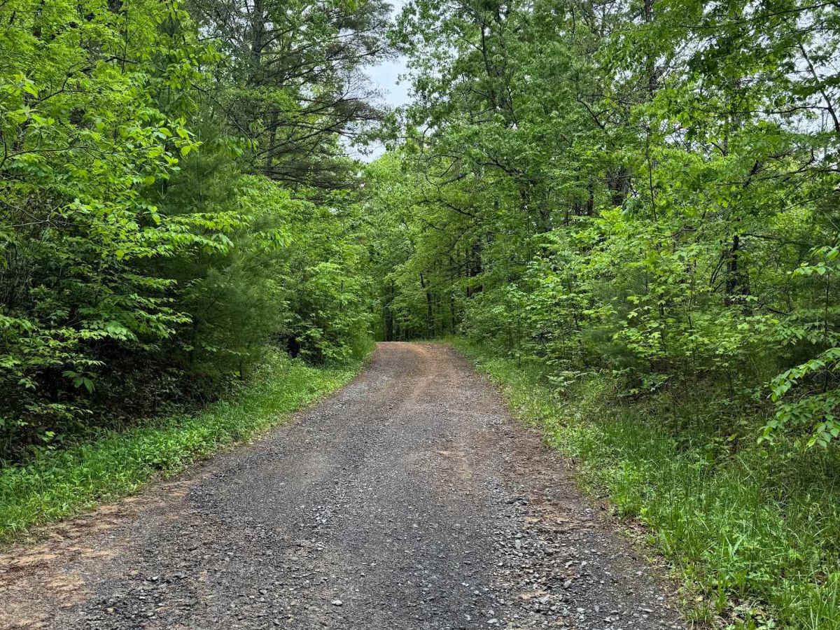 Duncan Knob photo 5