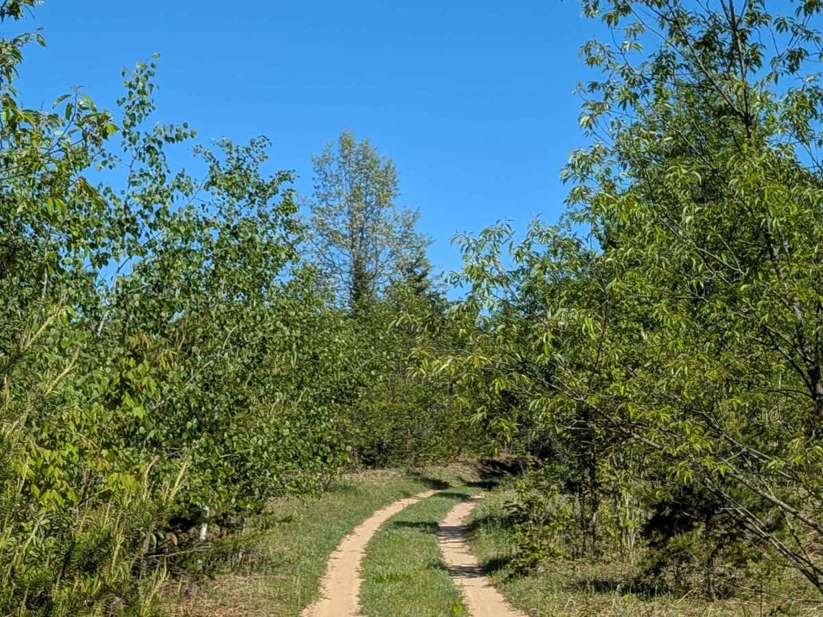 Huntfield Trail trail photo