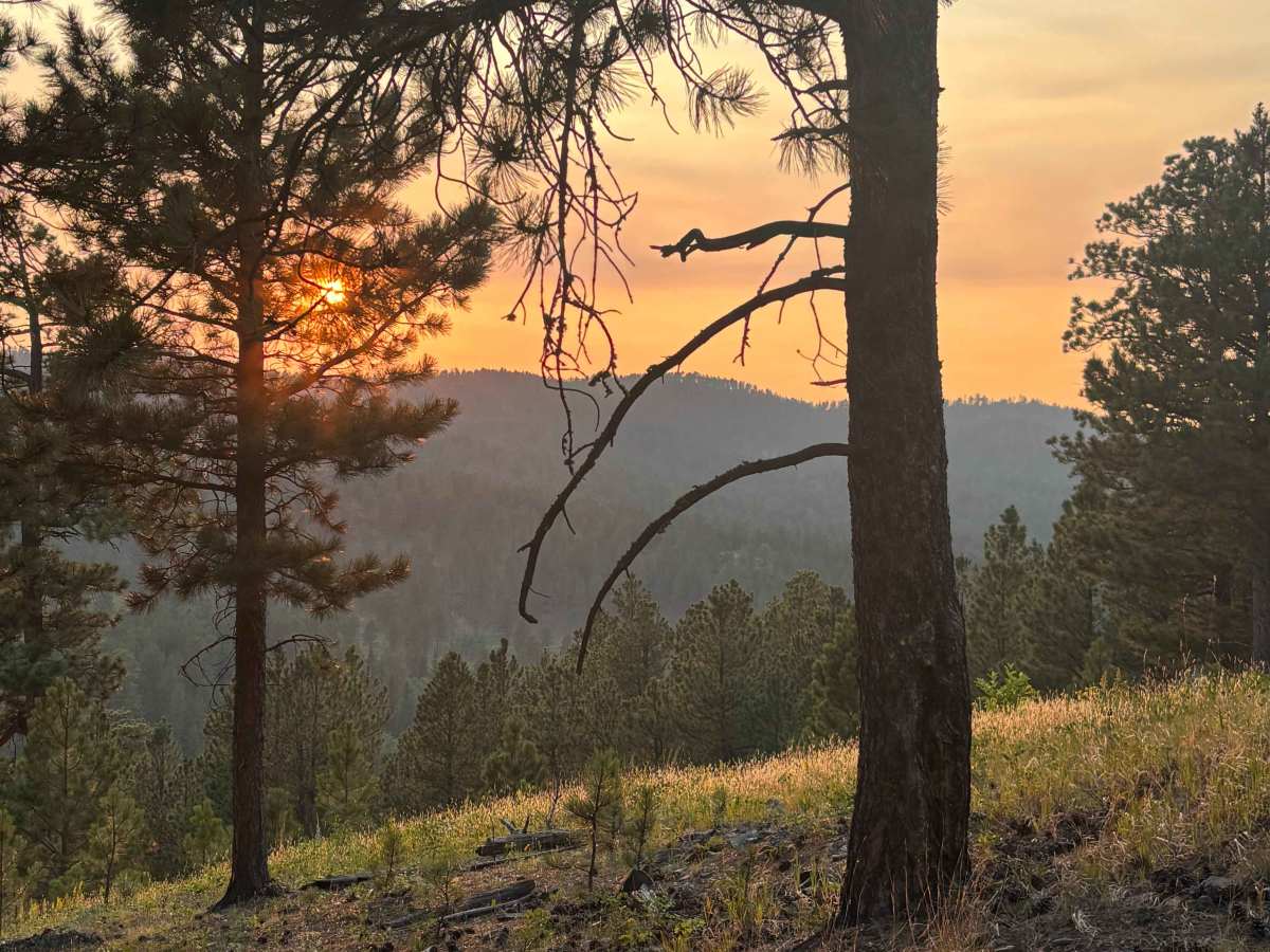 Nugget Gulch Lookouts - FS 6800 photo 3