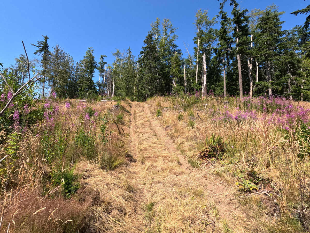 Laddy Buck Trail photo 4