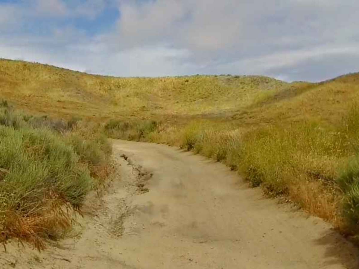 Stipa Trail photo 3
