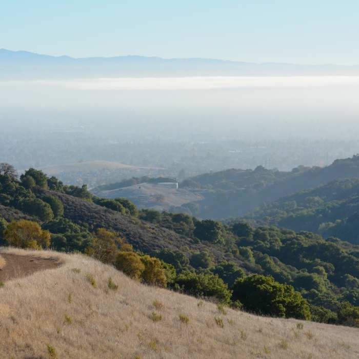 Near Coyote, Lower Meadow, and Permanente Creek Loop