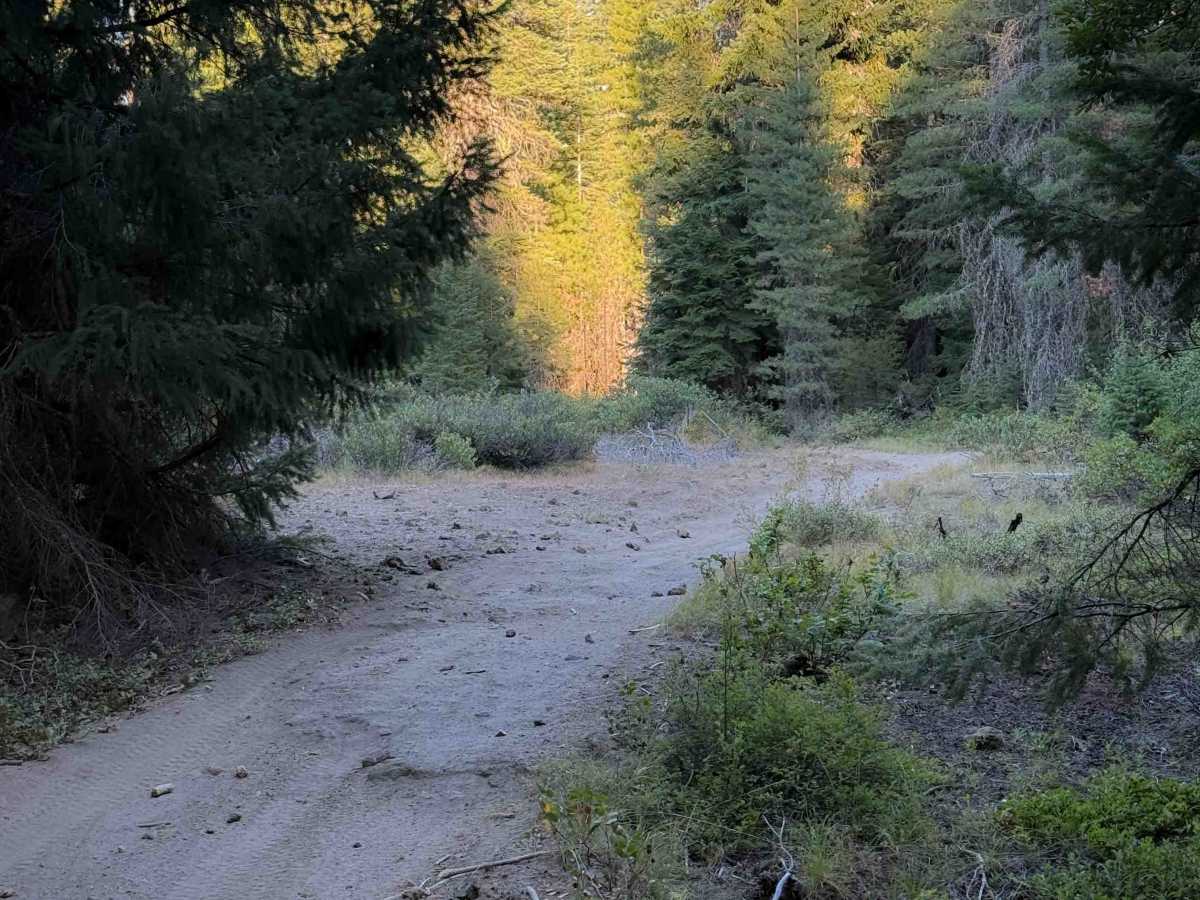 Learners Loop trail photo