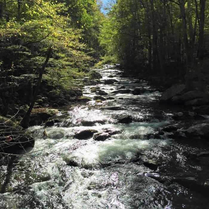 Big Creek Trailhead - Bridge Crossing. Near Big Creek Trail