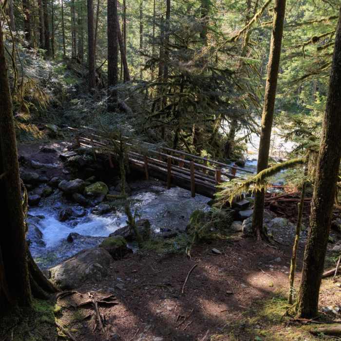 Near Little North Santiam River Trail Near Little North Santiam River Trail