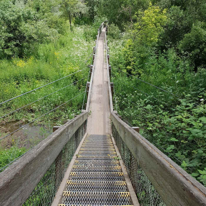 Near Lake Chabot Inner Loop