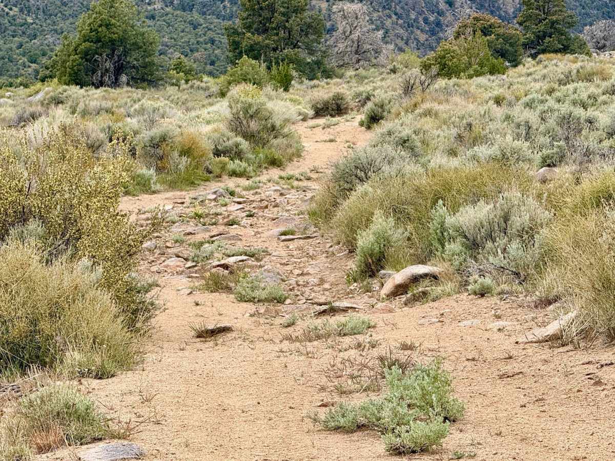 Broad Canyon - FS 44212 photo 3