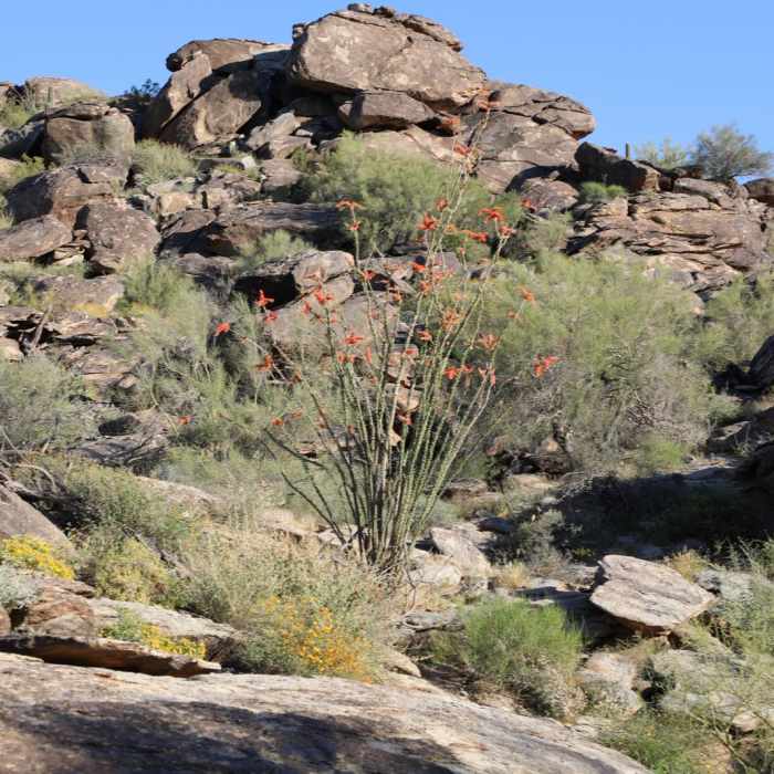 Near Mormon Trail to Hidden Valley
