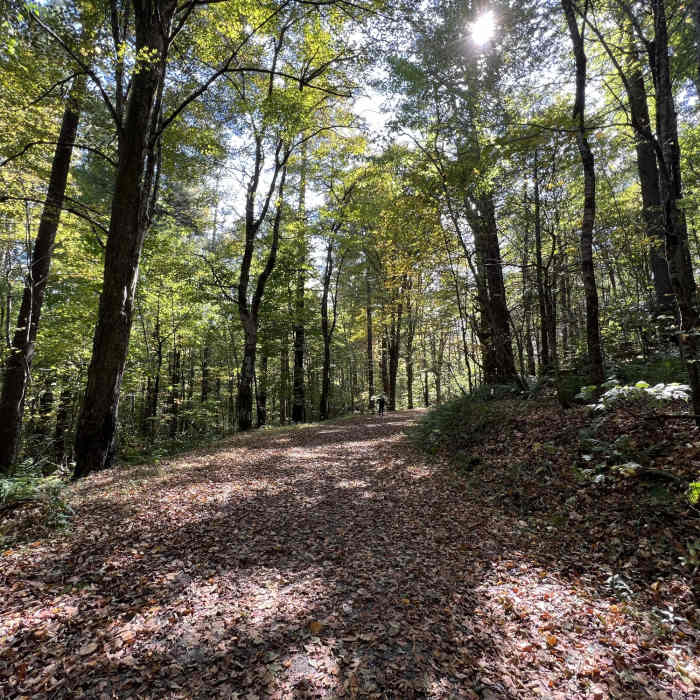Flat trail conditions Near The Maze
