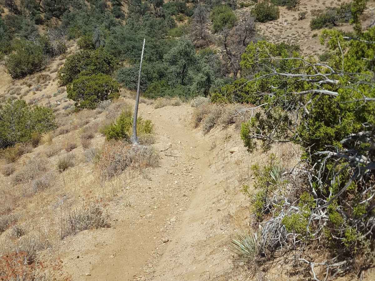 Trail 39 photo 6