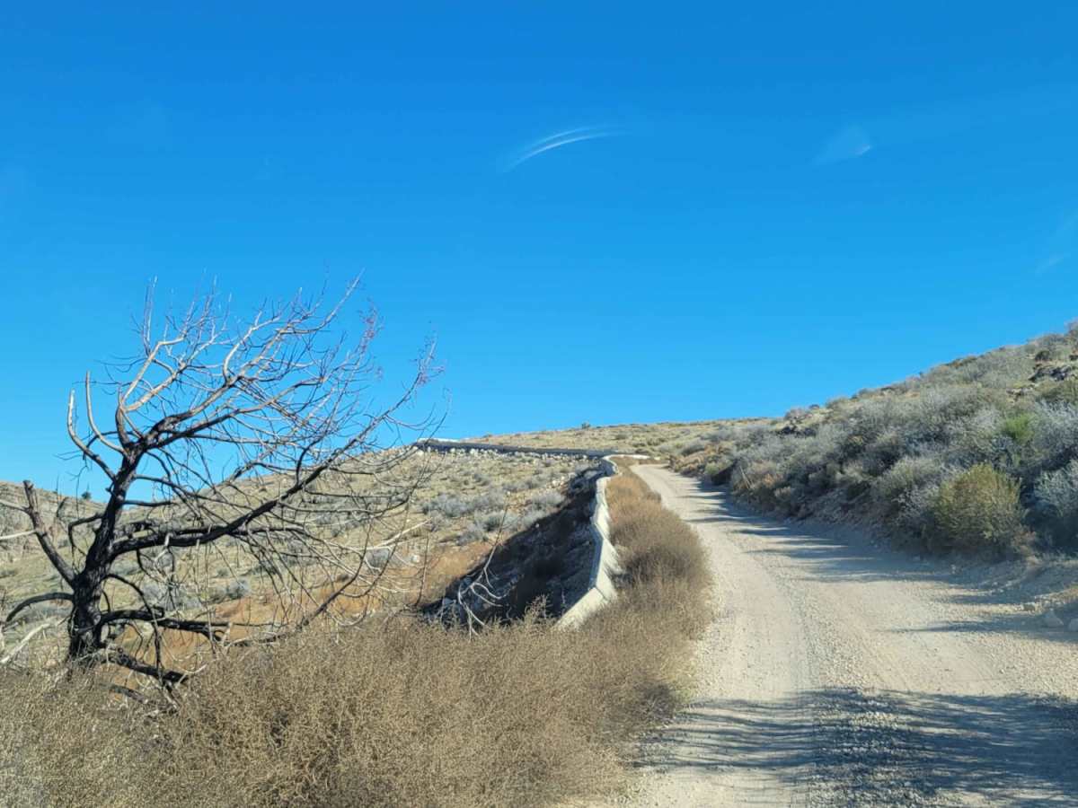 Bear Claw Poppy Trail photo 5