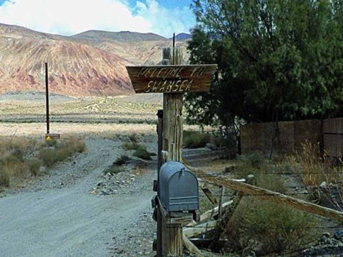 Swansea-Cerro Gordo Road photo 6