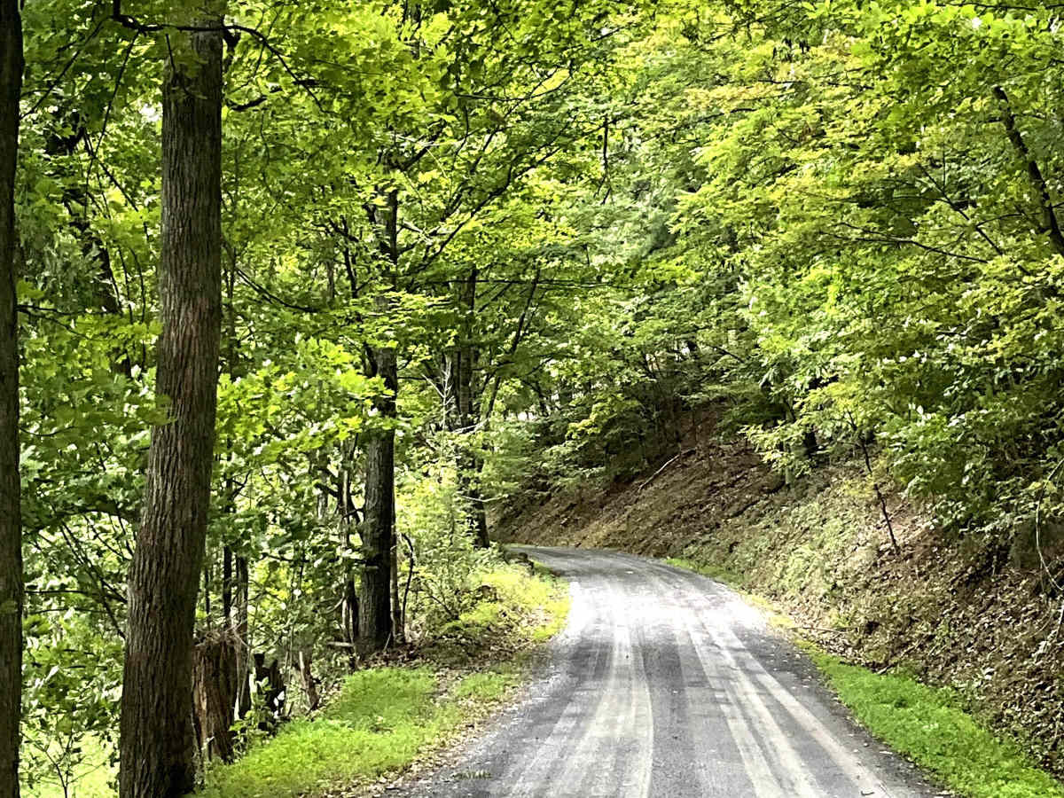 State Route 770  photo 2