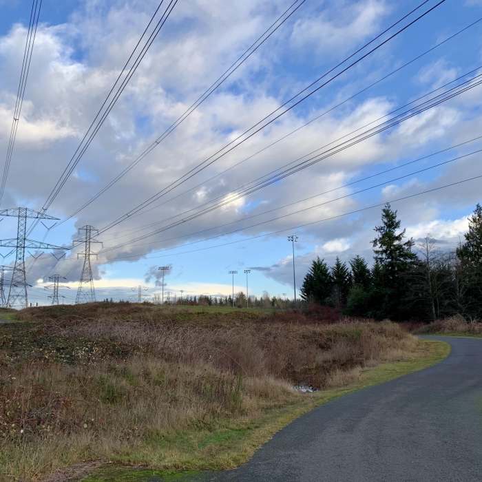 Walking Along the BPA Trail Near BPA Trail
