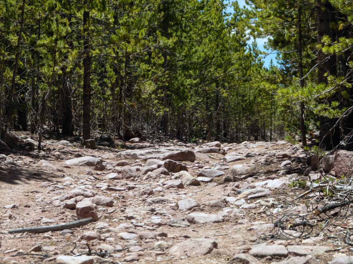 Ridge Road - FS 80076 photo 2