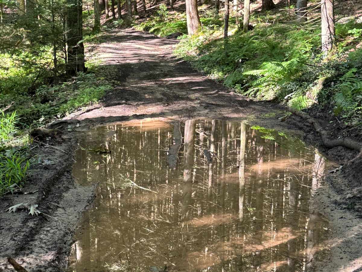 CCC Trail photo 6