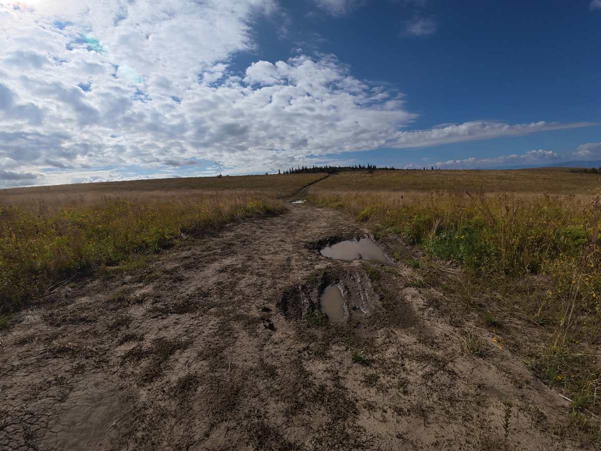 Mansfield Road - FS 830 photo 4