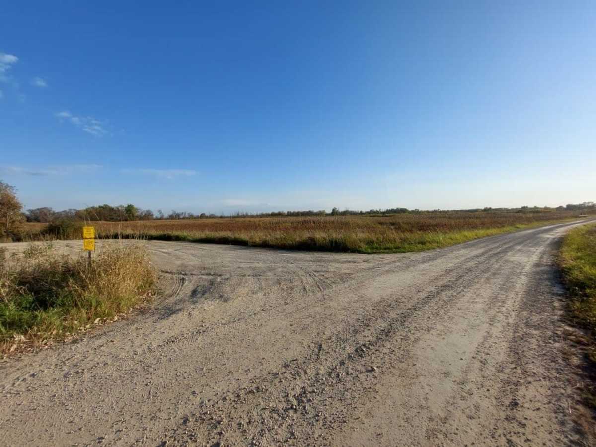 White River Road photo 4