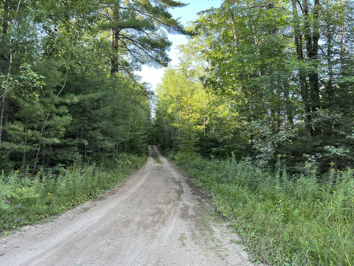 Devils Creek Trail trail photo