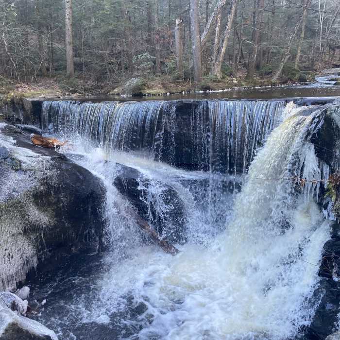 Near Enders Falls Trail