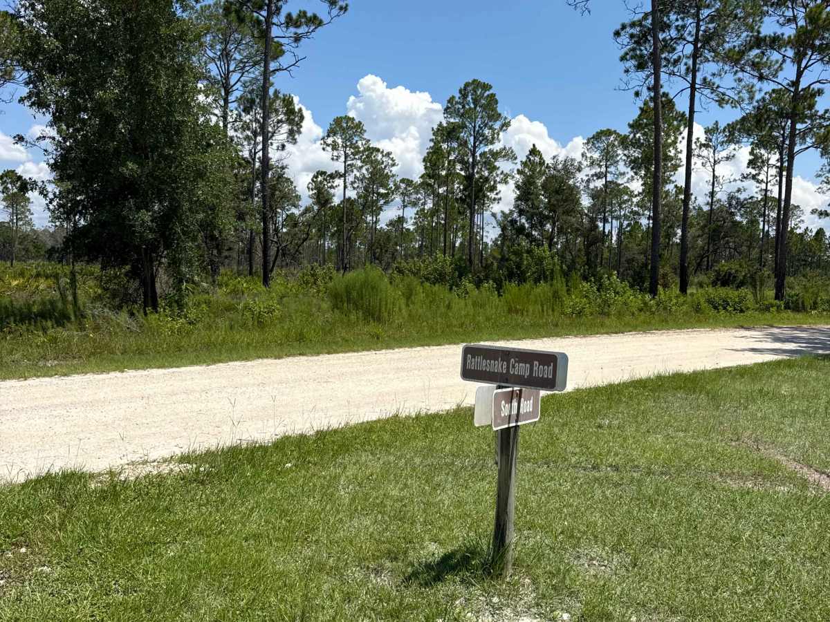 Rattlesnake Camp Road photo 6