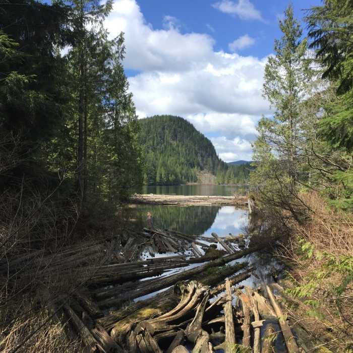 Near Greg Ball Trail