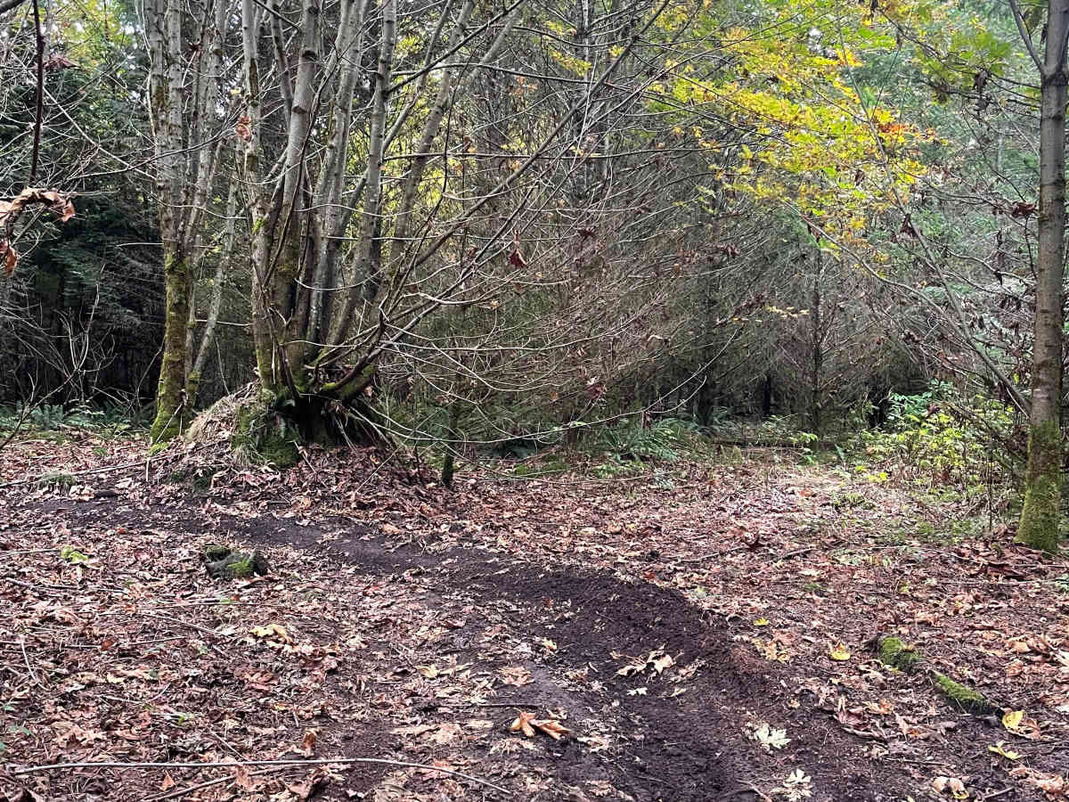 Dirt Church photo 2
