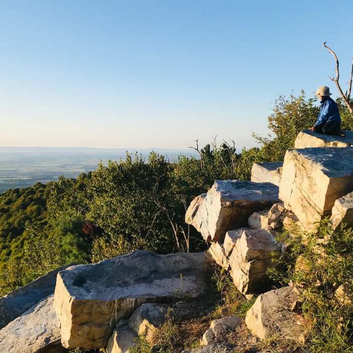 Near Tuscarora Trail Section 7: Cowan's Gap State Park to PA 16