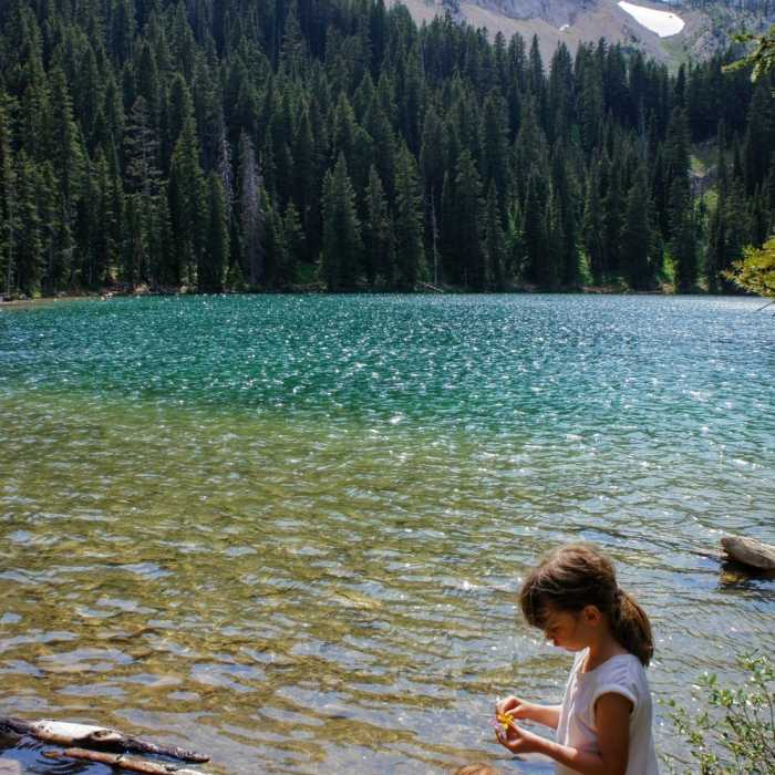 Playing in the clear waters along the lake Near Fairy Lake Trail