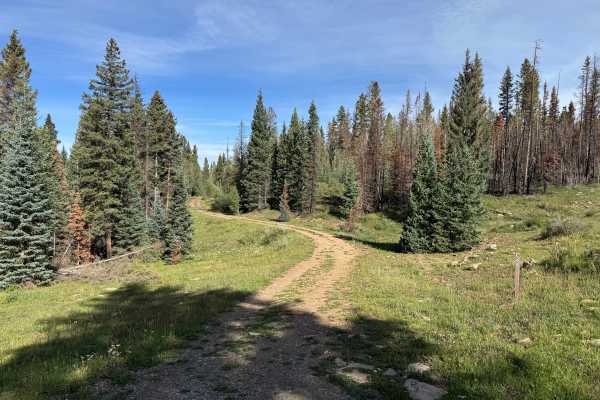 Hell Canyon Road