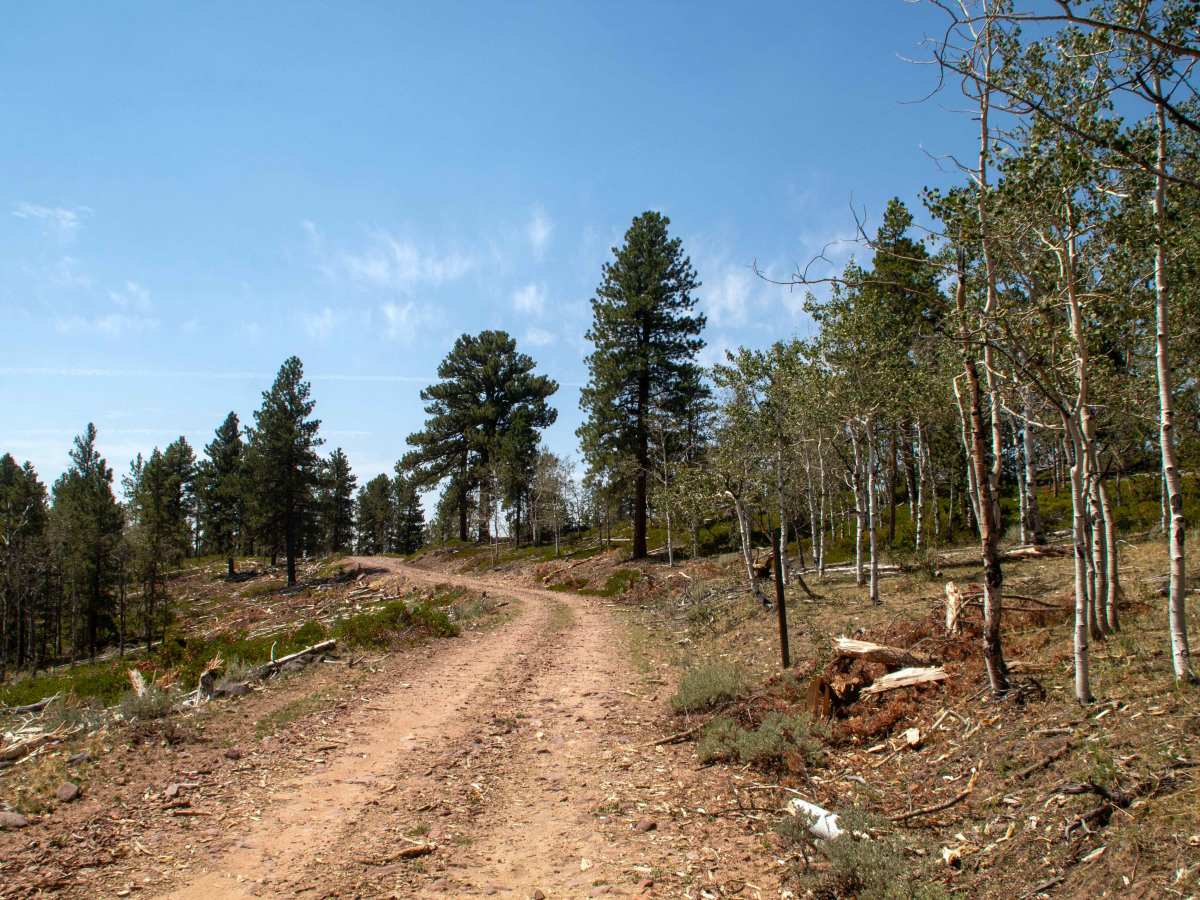 Limekiln - FS 10123 photo 3