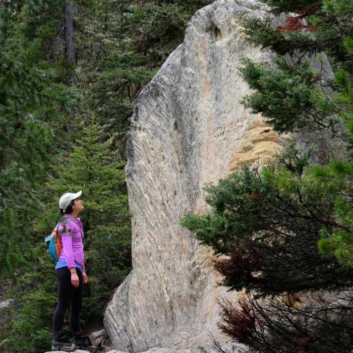 Near History Rock Near History Rock