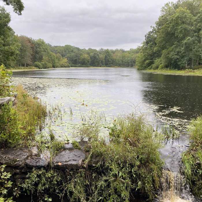 Near Salmon River Trail (Blue Trail)