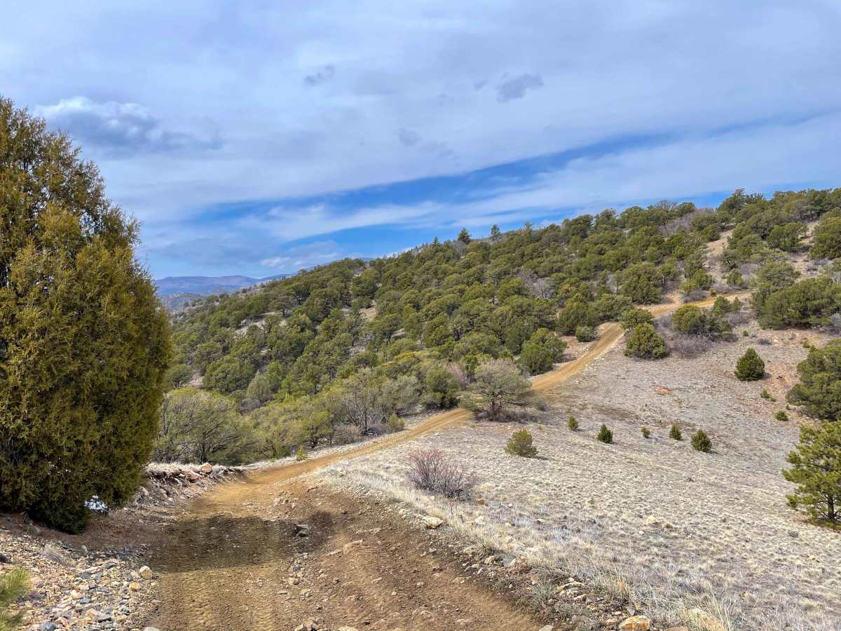 Tiger Trail trail photo
