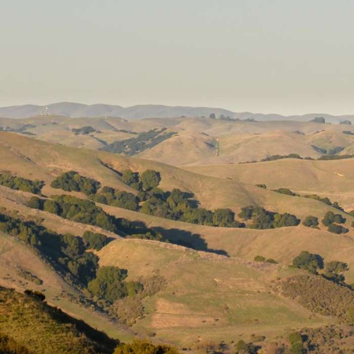 Near Nimitz Way Trail