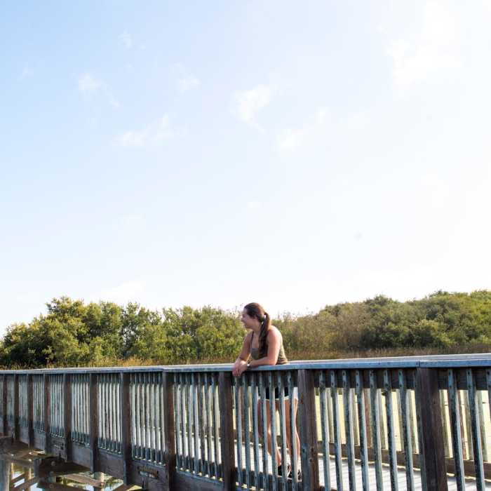 Near Oso Flaco Lake Trail Near Oso Flaco Lake Trail