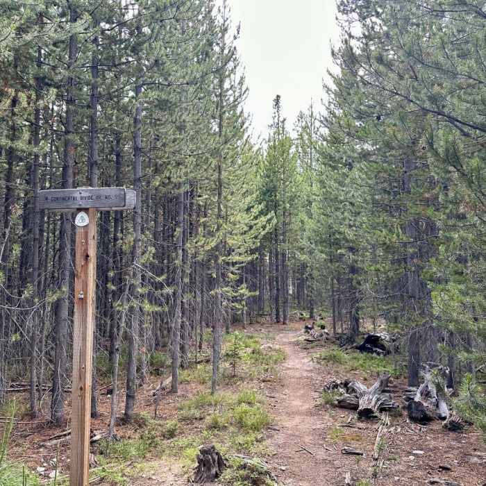 Near Continental Divide Trail: Montana-Idaho Section 13