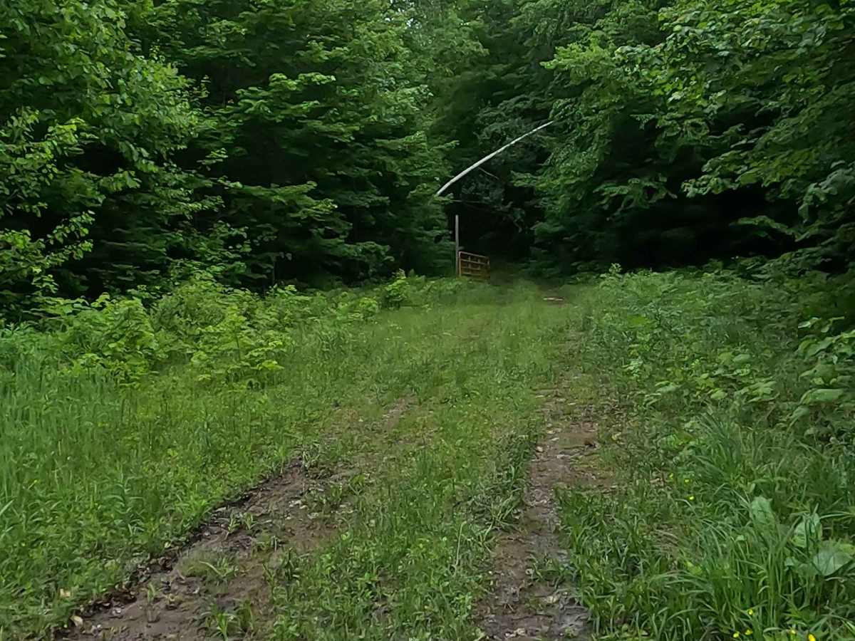 Barnhardt Creek Road photo 4