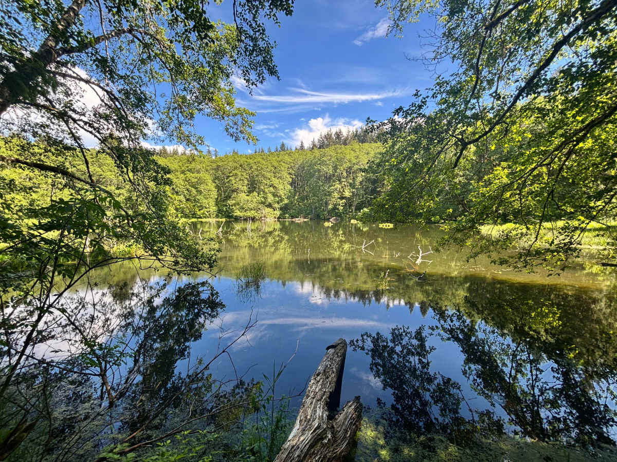 Bloom Lake trail photo