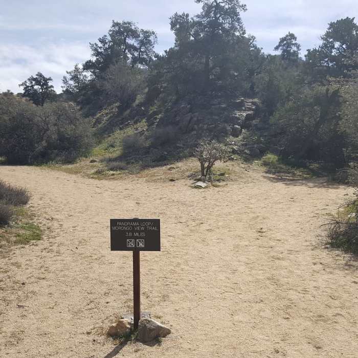 This sign marks the first junction with Panorama Loop. Stick to the right to continue on Warren Peak Trail. Near Panorama Loop Trail