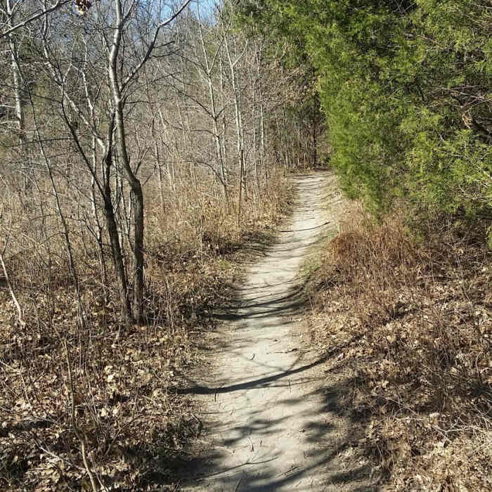 The singletrack trail travels next to the creek. Near Spring Creek Forest Preserve