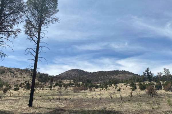 Slate Mountain Loop