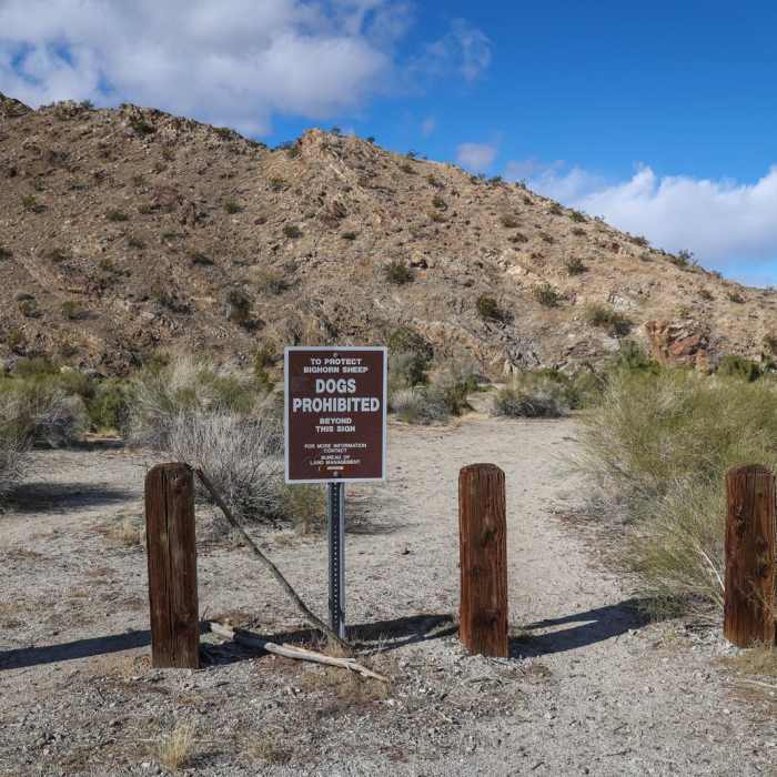 Near Dead Indian Canyon