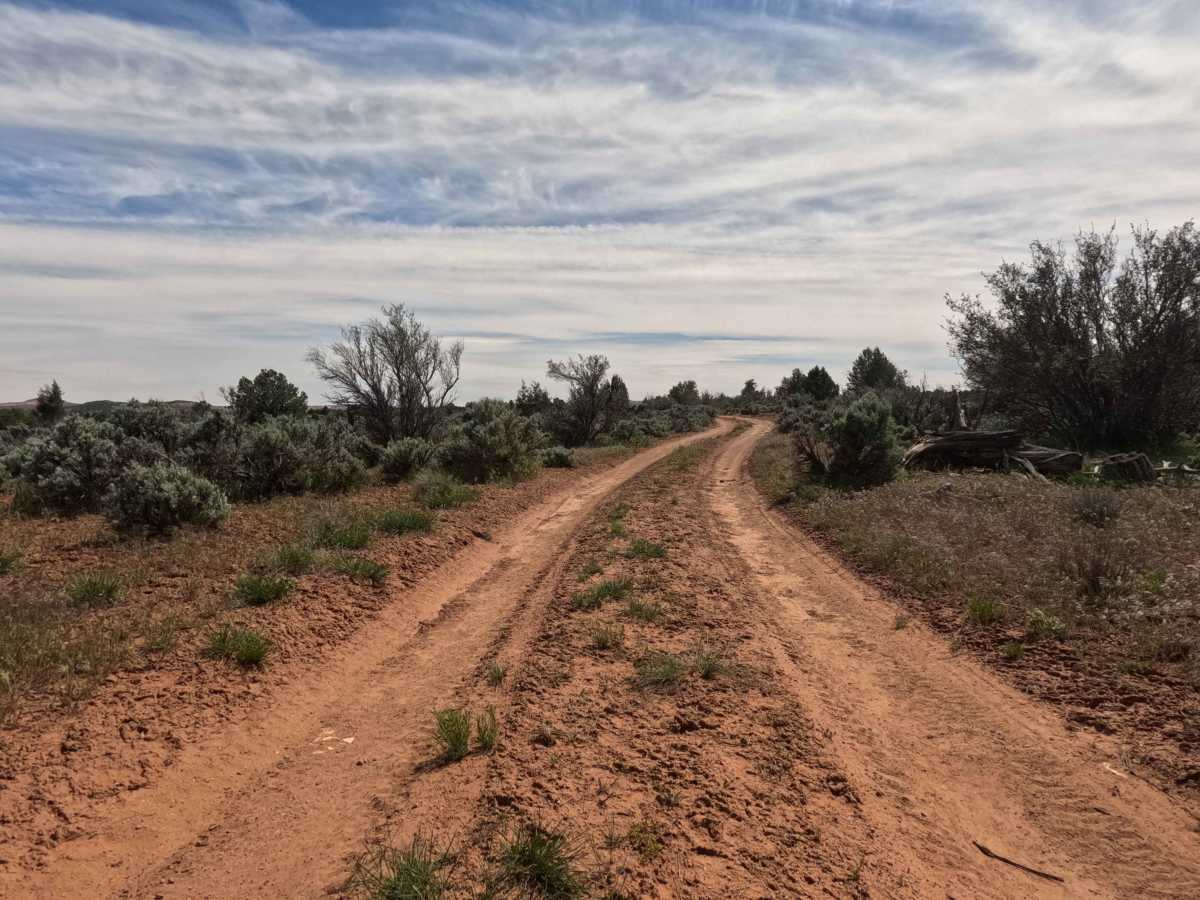 BLM 74  photo 5