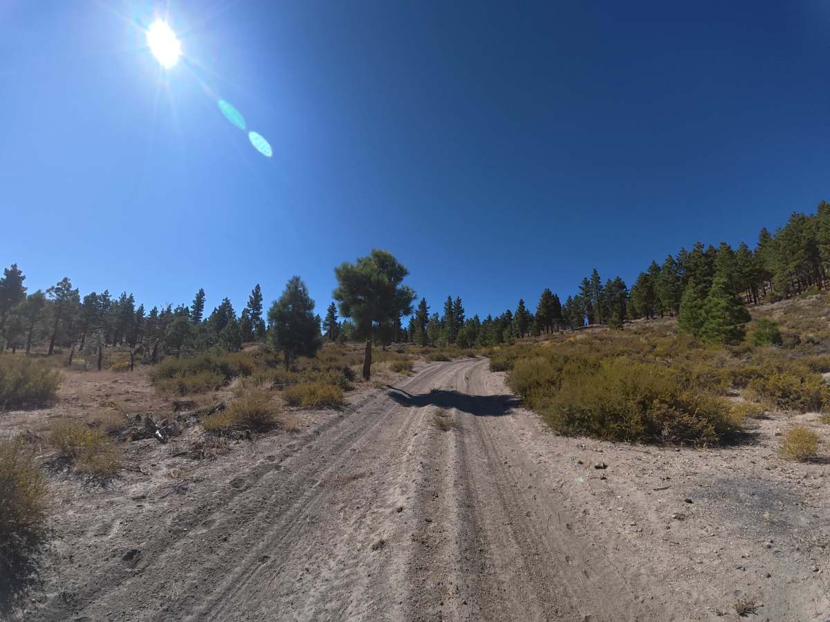 Long Valley Caldera photo 4