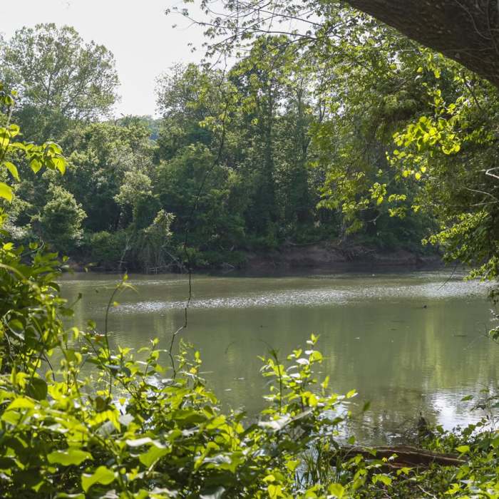 Near St. John's Creek Trail Near St. John's Creek Trail