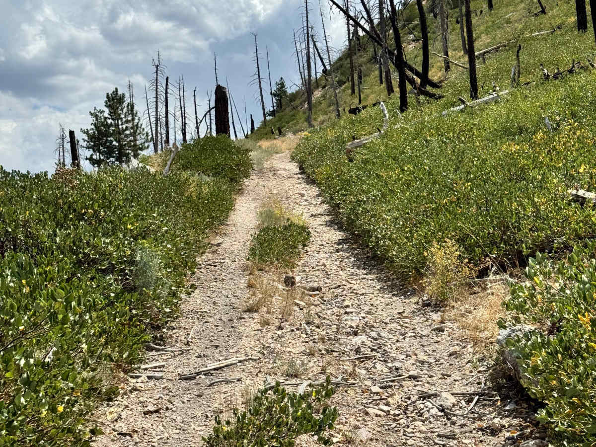 Colorado Hill Road - FS 31326 photo 5